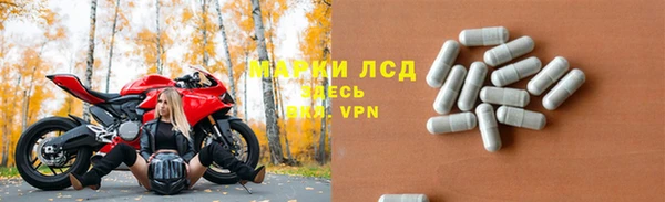 прущие грибы Алексин