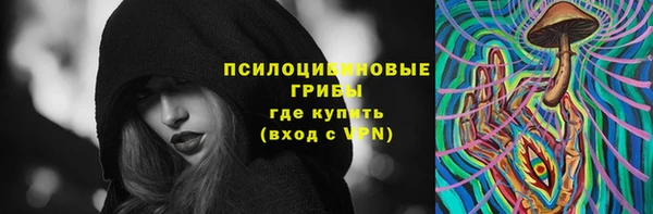 прущие грибы Алексин