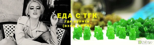 ECSTASY Алзамай