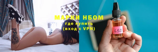 прущие грибы Алексин