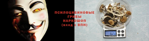 ECSTASY Алзамай