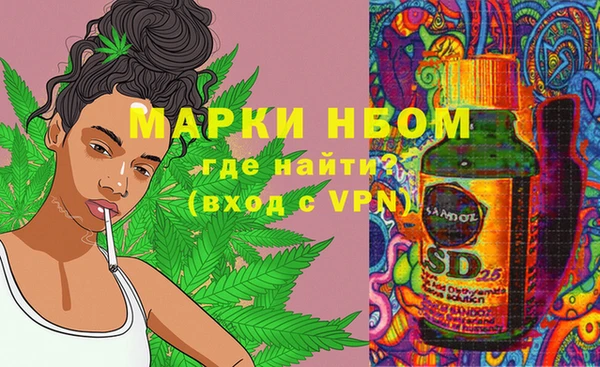 ECSTASY Алзамай